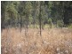 Lot 104 Rosewood-Laidley Road, Calvert QLD 4340