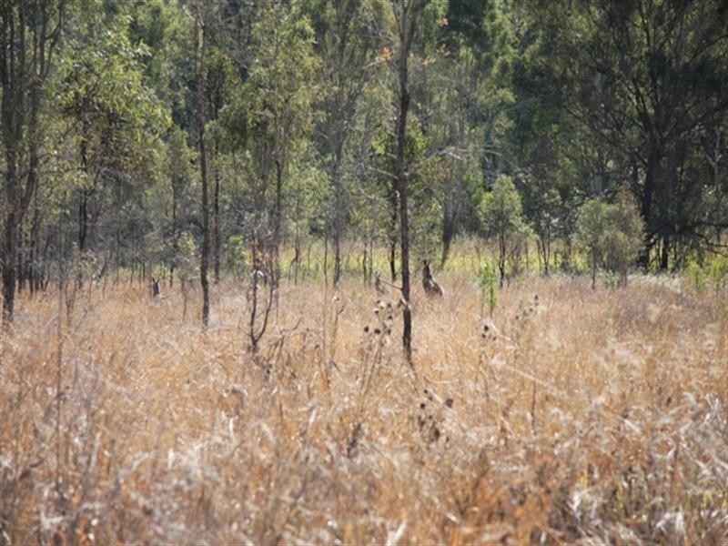 Lot 104 Rosewood-Laidley Road, Calvert QLD 4340