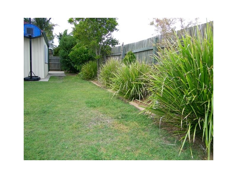 3 Jocelyn Court, Raceview QLD 4305