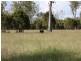 763 Ipswich-Boonah Road, Purga QLD 4306