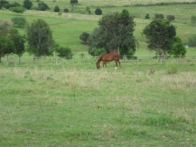 235 Blantyre Road, Roadvale QLD 4310