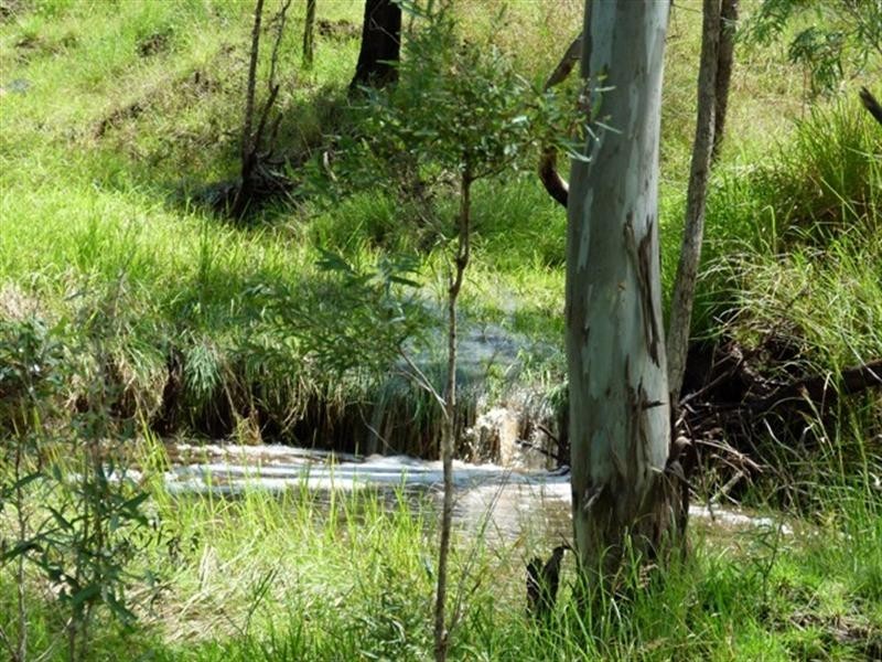 443 Greys Plains Road, Mount Walker QLD 4340