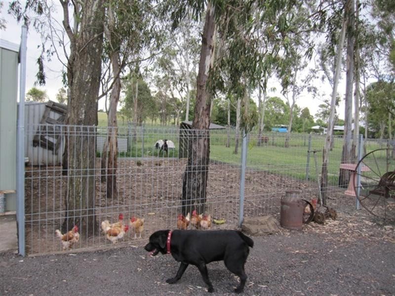 1421 Ipswich-Boonah Road, Peak Crossing QLD 4306