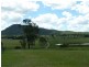 821 Coleyville Road, Coleyville QLD 4307