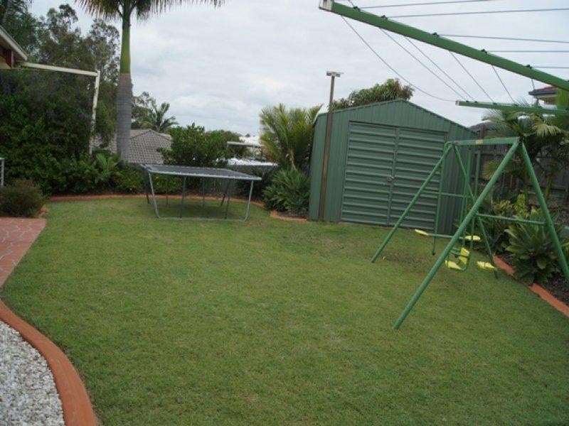 16 Cassinia Place, Flinders View QLD 4305