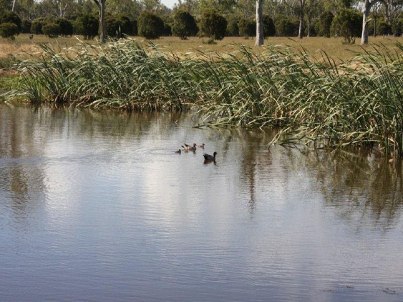 763 Ipswich-Boonah Road, Purga QLD 4306