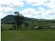 821 Coleyville Road, Coleyville QLD 4307