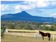 668 Roadvale-Harrisvale Road, Peak Crossing QLD 4306