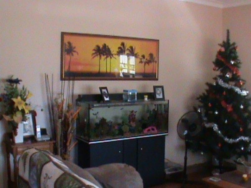 3 Lamont Street, North Booval QLD 4304