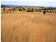 Templin QLD 4310
