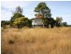Templin QLD 4310