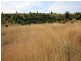 Templin QLD 4310
