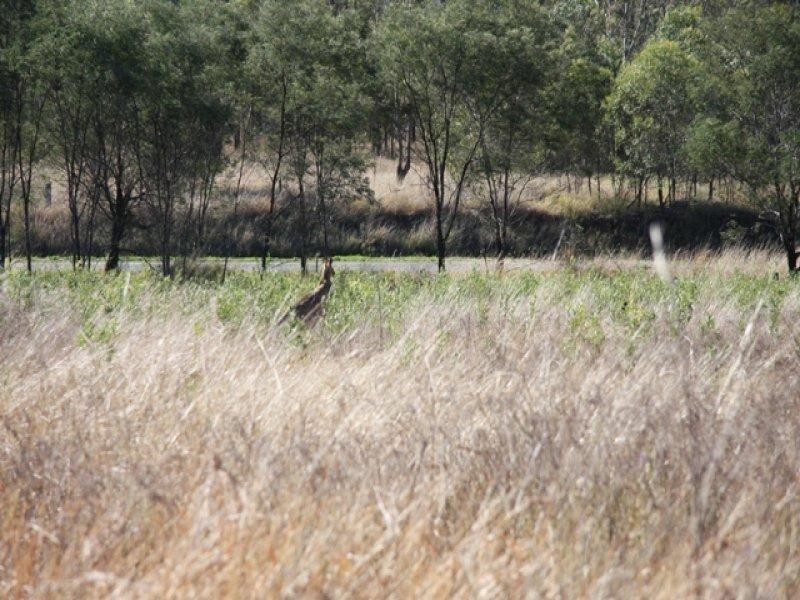 Lot 104 Rosewood-Laidley Road, Calvert QLD 4340