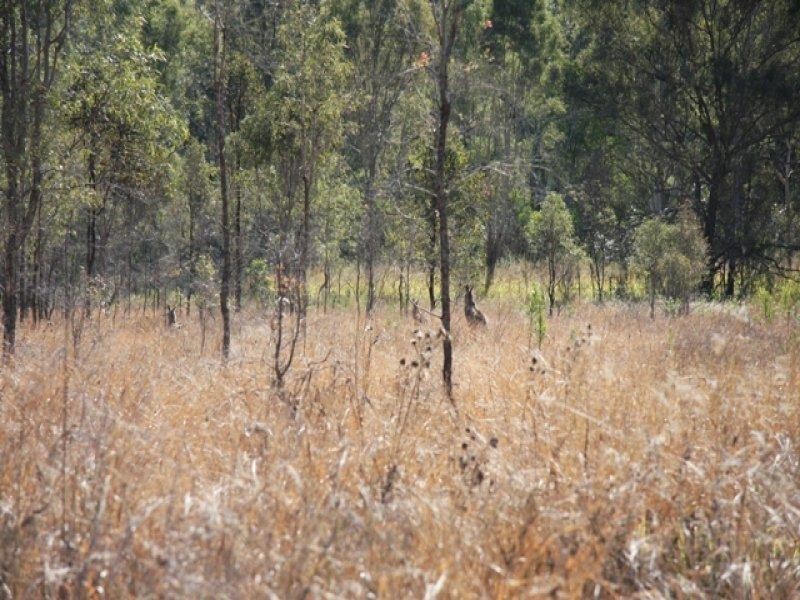 Lot 104 Rosewood-Laidley Road, Calvert QLD 4340