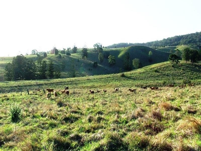 54 Behrendorff Road, Boonah QLD 4310