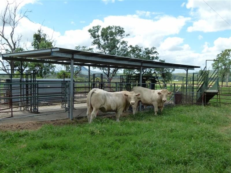 1 Tierneys Bridge Road, Rosevale QLD 4340