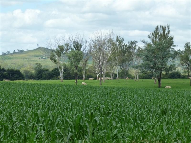 1 Tierneys Bridge Road, Rosevale QLD 4340