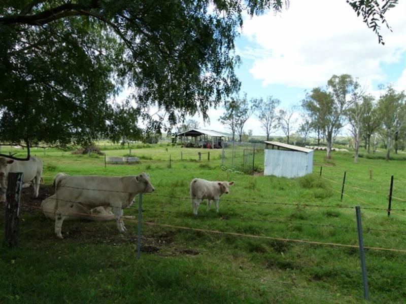 1 Tierneys Bridge Road, Rosevale QLD 4340