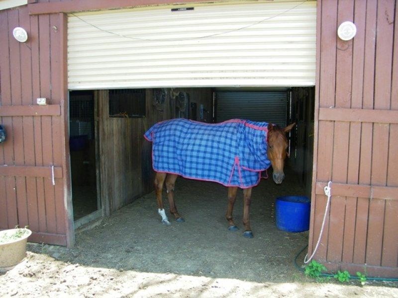 3889 Ipswich-Boonah Road, Coulson QLD 4310