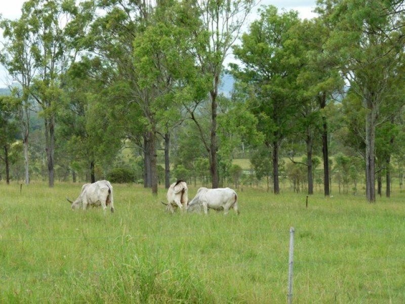 201 Purga-School Road, Purga QLD 4306