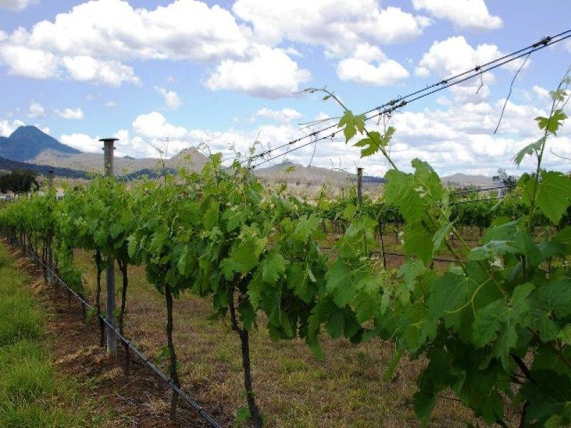 1544 Ipswich-Boonah Road, Peak Crossing QLD 4306