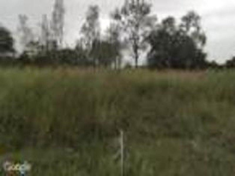 1/Lot 1 Kalbar-Peak Crossing Road, Milora QLD 4309