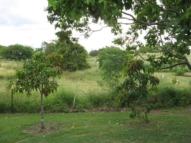 591 Hoya Road, Teviotville QLD 4309