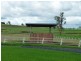 557 Rosevale Road, Rosevale QLD 4340