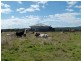 82-126 Morgans Road, Purga QLD 4306