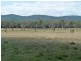 82-126 Morgans Road, Purga QLD 4306