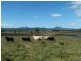 82-126 Morgans Road, Purga QLD 4306