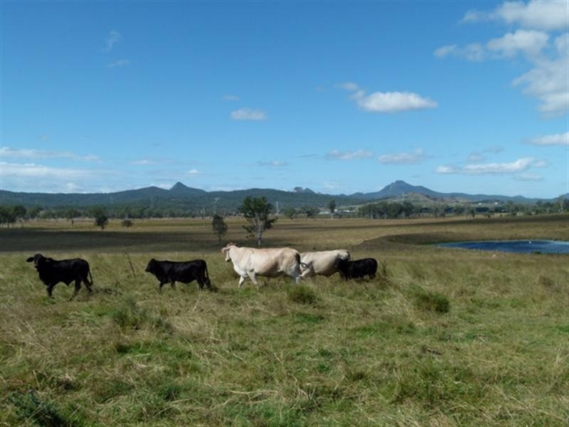 82-126 Morgans Road, Purga QLD 4306