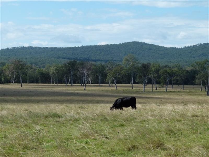 82-126 Morgans Road, Purga QLD 4306