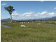 Rosevale QLD 4340