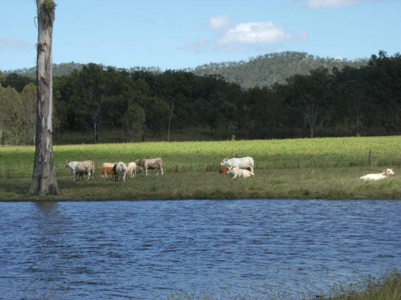 Rosevale QLD 4340