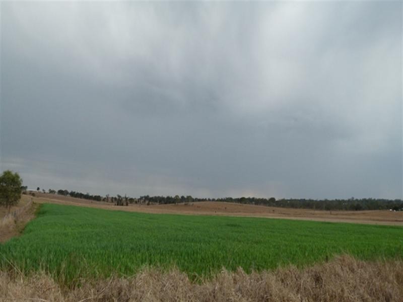 96 Washpool Road, Peak Crossing QLD 4306