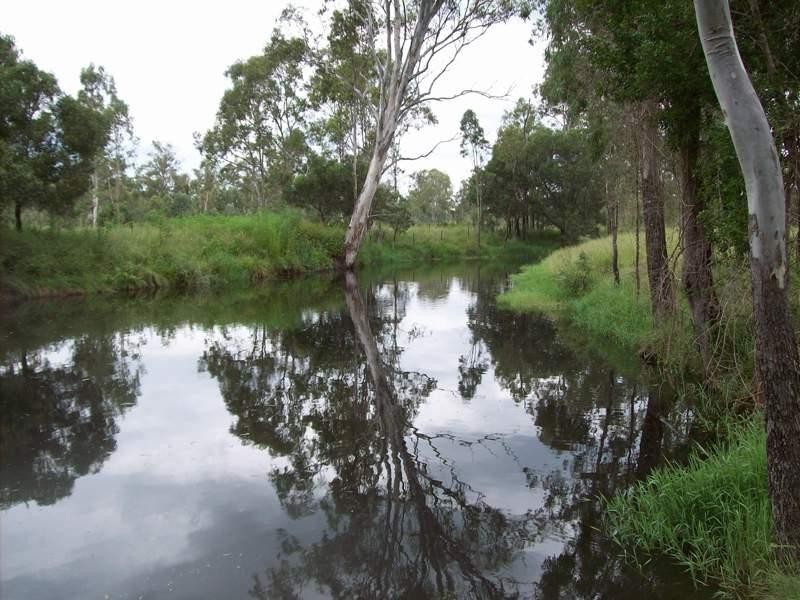 584 Rosewood-Laidley Road, Calvert QLD 4340
