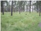 584 Rosewood-Laidley Road, Calvert QLD 4340