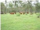 584 Rosewood-Laidley Road, Calvert QLD 4340
