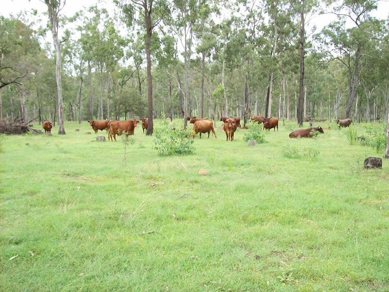 584 Rosewood-Laidley Road, Calvert QLD 4340