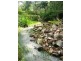 Lot 47 Washpool Road, Peak Crossing QLD 4306