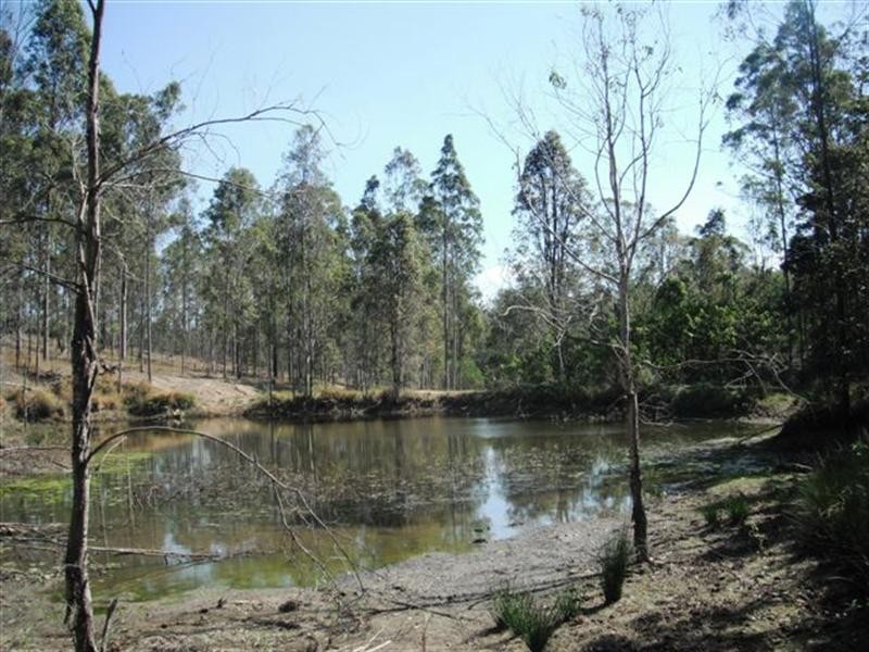 Lot 47 Washpool Road, Peak Crossing QLD 4306