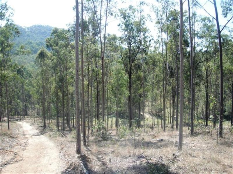 Lot 47 Washpool Road, Peak Crossing QLD 4306