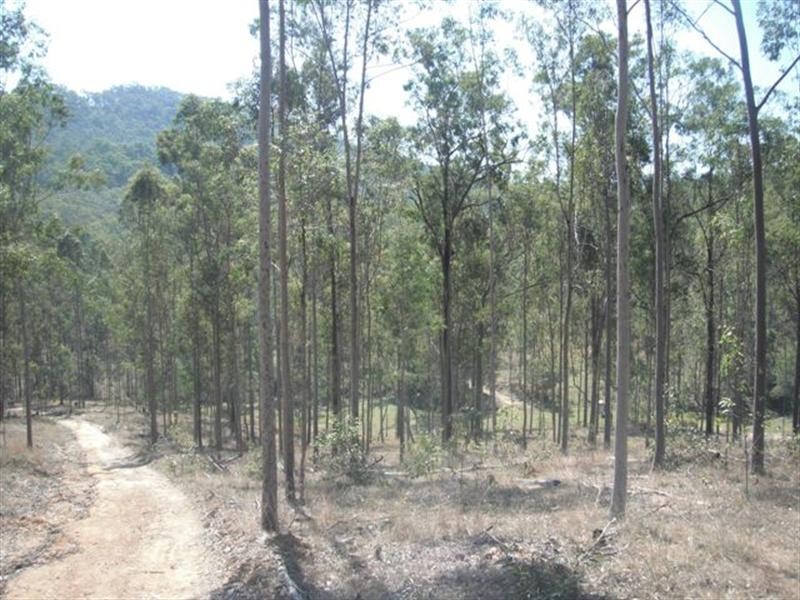 Lot 47 Washpool Road, Peak Crossing QLD 4306