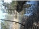 Lot 47 Washpool Road, Peak Crossing QLD 4306