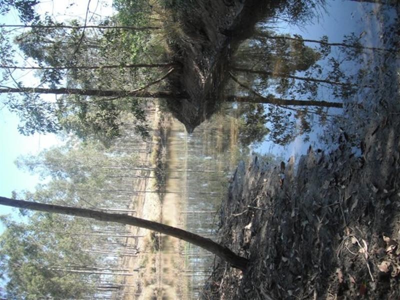 Lot 47 Washpool Road, Peak Crossing QLD 4306