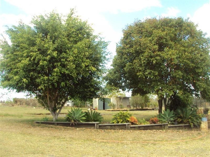 888 Munbilla Road, Munbilla QLD 4309