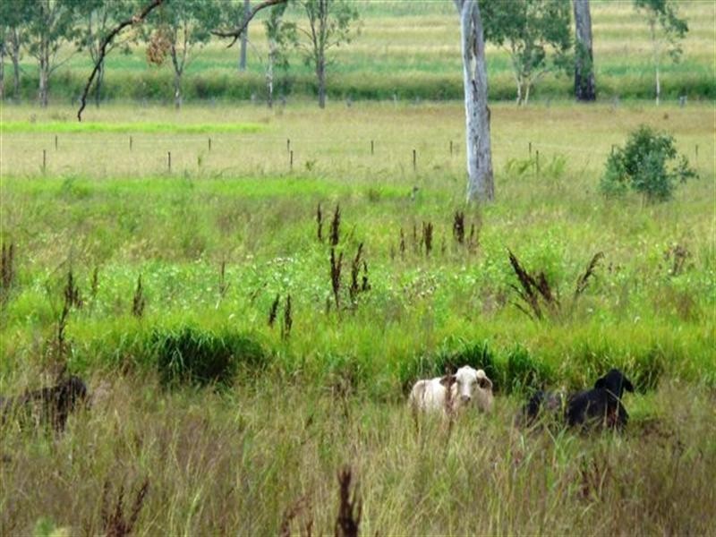 3576 to 3604 Cunningham Highway, Mutdapilly QLD 4307