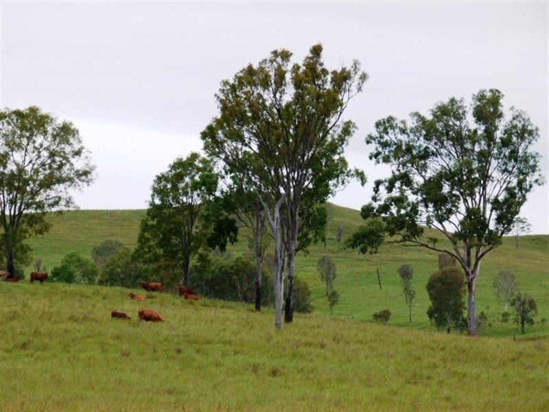 799 Coleyville Raod, Coleyville QLD 4307