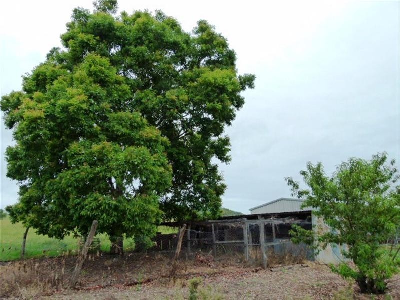 799 Coleyville Raod, Coleyville QLD 4307